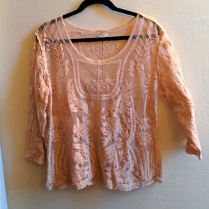 Blush Mesh Lace Embroidered Top